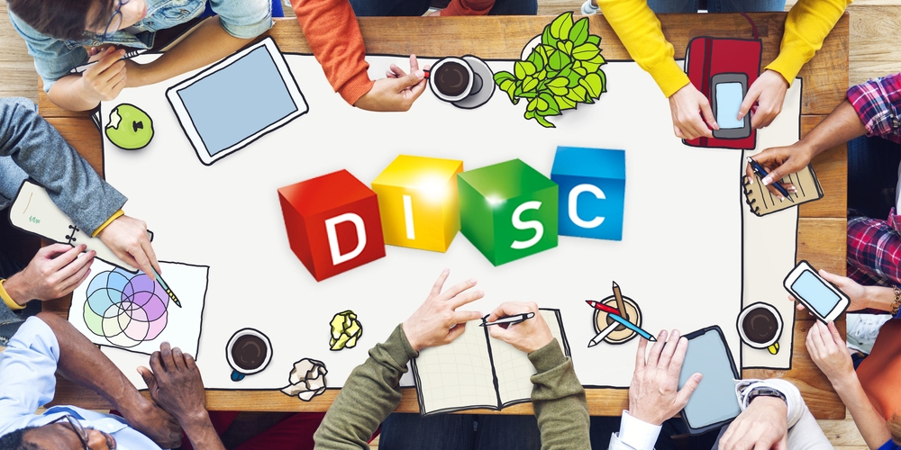 DISC - Ontwikkel je team
